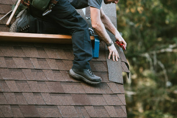 Best Gutter Installation and Repair  in Holgate, OH